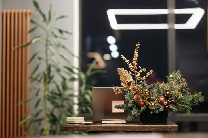 An office. In the picture can be seen a green plant and a Chirstmas decoration