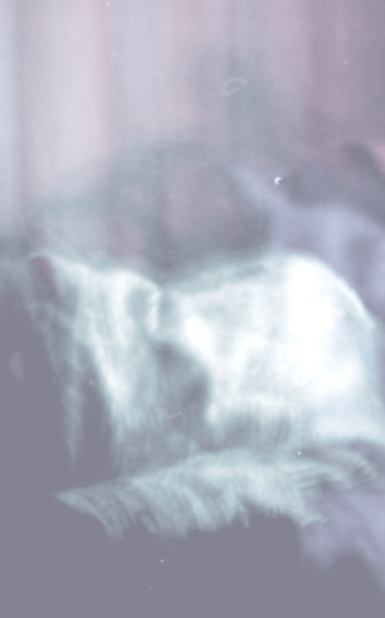 Ennakkokuva esityksestä Sedimenting